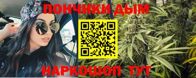 индика Ирбит