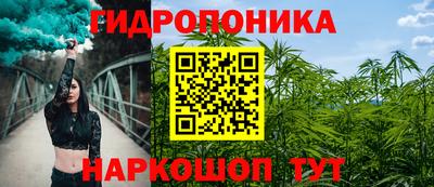 индика Ирбит