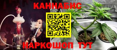 индика Ирбит